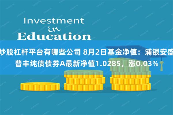 炒股杠杆平台有哪些公司 8月2日基金净值：浦银安盛普丰纯债债券A最新净值1.0285，涨0.03%