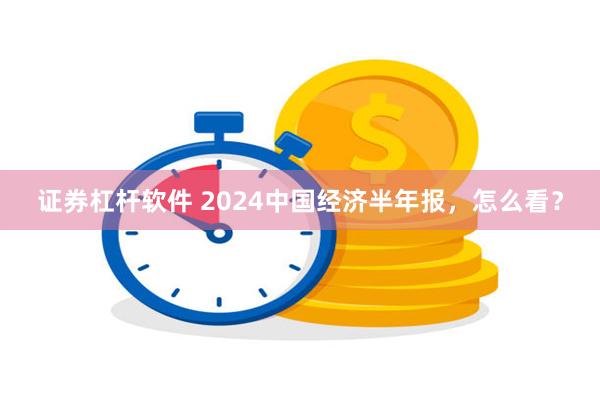 证券杠杆软件 2024中国经济半年报，怎么看？