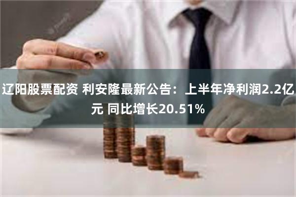 辽阳股票配资 利安隆最新公告：上半年净利润2.2亿元 同比增长20.51%