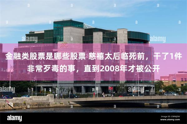 金融类股票是哪些股票 慈禧太后临死前，干了1件非常歹毒的事，直到2008年才被公开