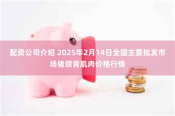 配资公司介绍 2025年2月14日全国主要批发市场猪颈背肌肉价格行情