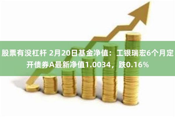 股票有没杠杆 2月20日基金净值：工银瑞宏6个月定开债券A最新净值1.0034，跌0.16%