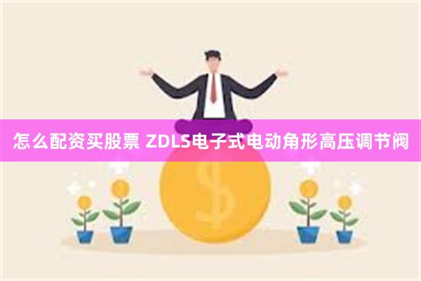 怎么配资买股票 ZDLS电子式电动角形高压调节阀