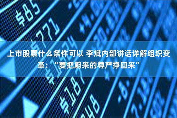 上市股票什么条件可以 李斌内部讲话详解组织变革：“要把蔚来的尊严挣回来”