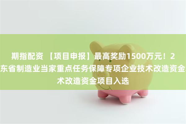 期指配资 【项目申报】最高奖励1500万元！2026年广东省制造业当家重点任务保障专项企业技术改造资金项目入选