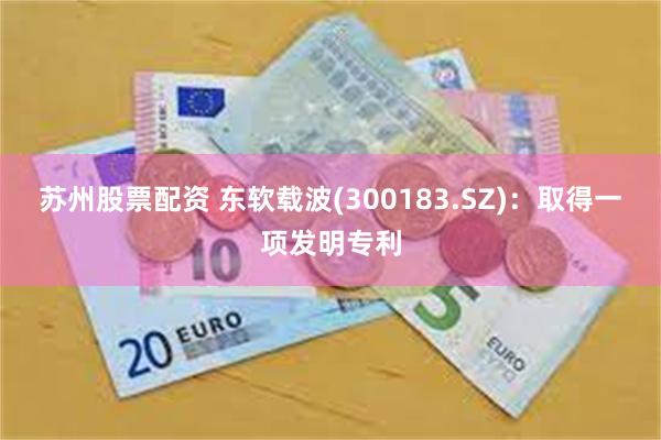 苏州股票配资 东软载波(300183.SZ)：取得一项发明专利