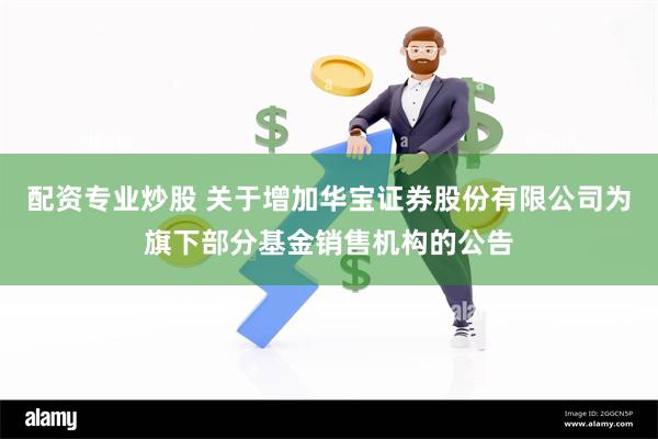 配资专业炒股 关于增加华宝证券股份有限公司为旗下部分基金销售机构的公告