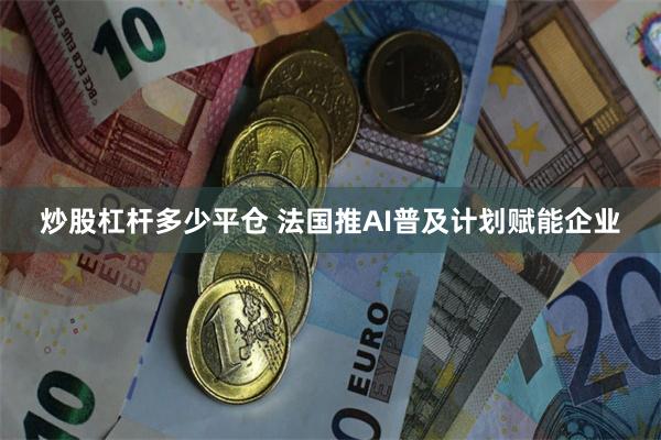 炒股杠杆多少平仓 法国推AI普及计划赋能企业