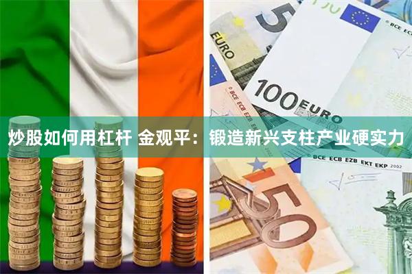 炒股如何用杠杆 金观平：锻造新兴支柱产业硬实力